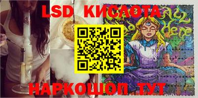 трава Новодвинск