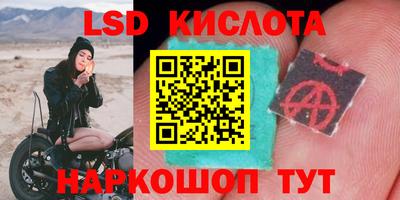 трава Новодвинск