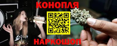 трава Новодвинск