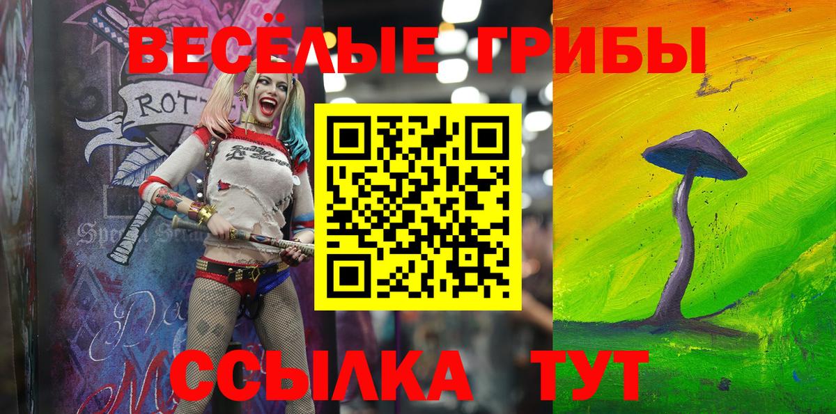 Псилоцибиновые грибы мицелий Ступино
