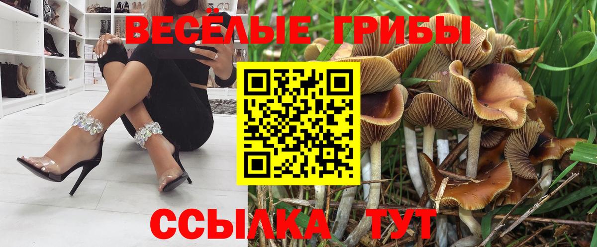 Ступино  Псилоцибиновые грибы Cubensis  Вход с VPN 
